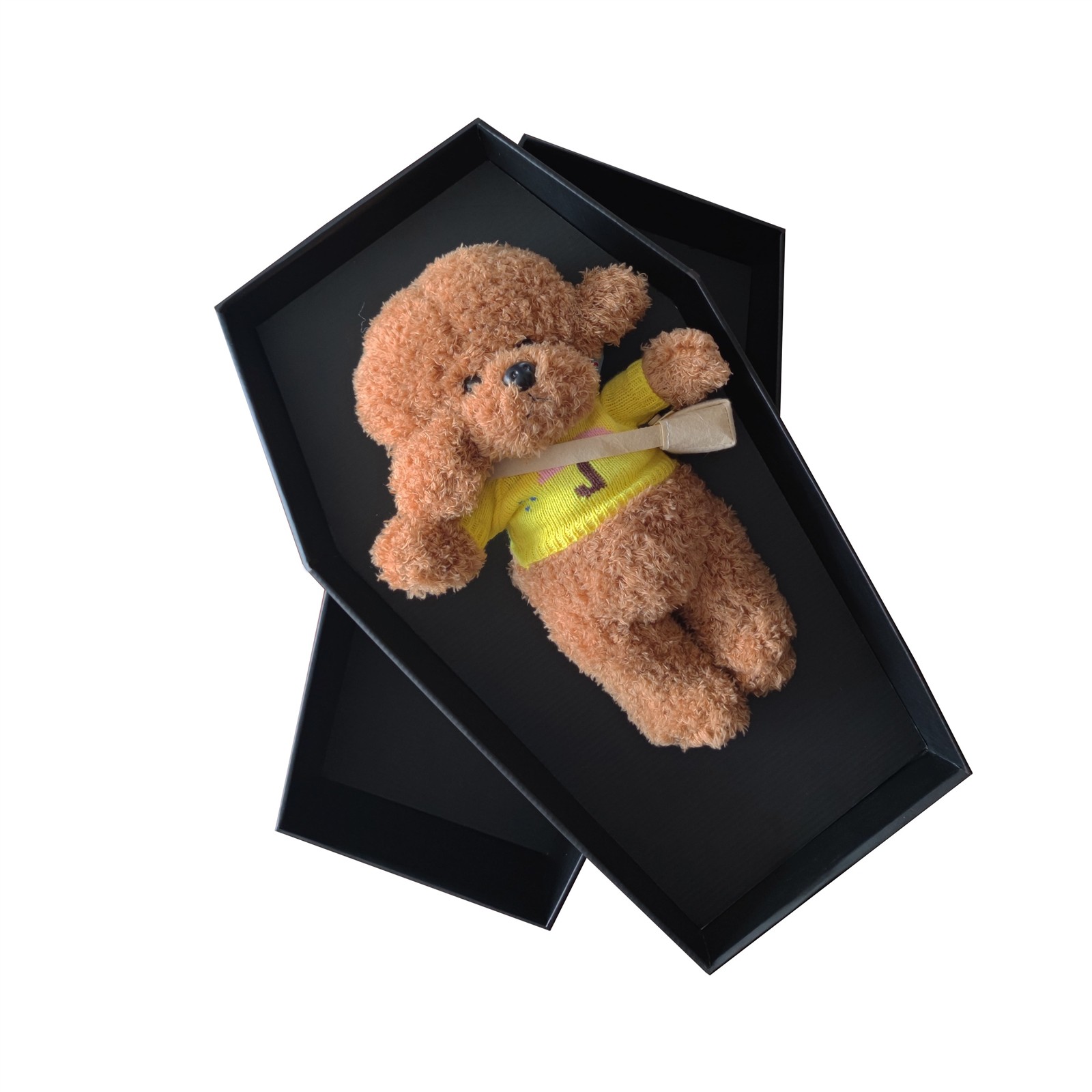 dog urn pet caskets urns