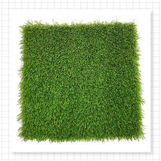 Green Grass Matting