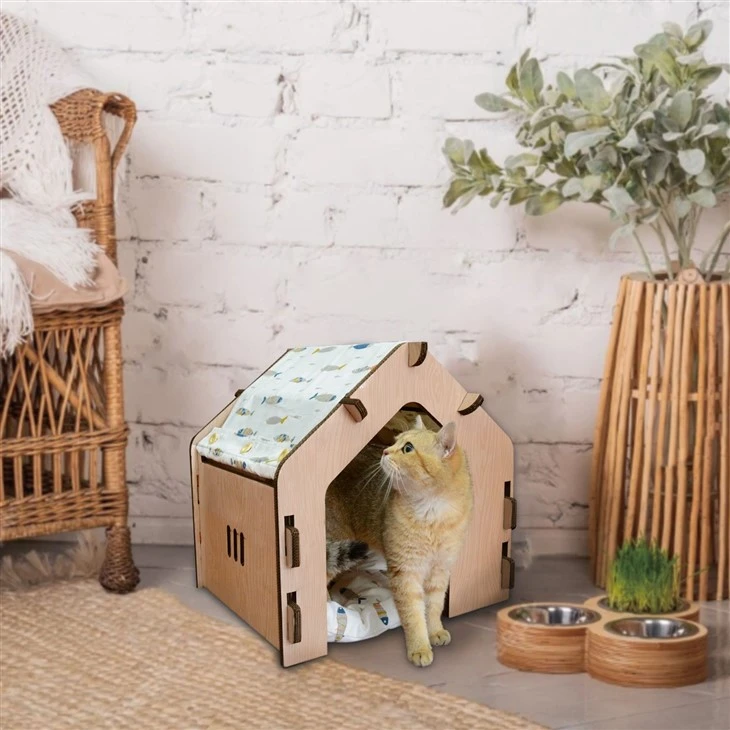 Cardboard Cat House