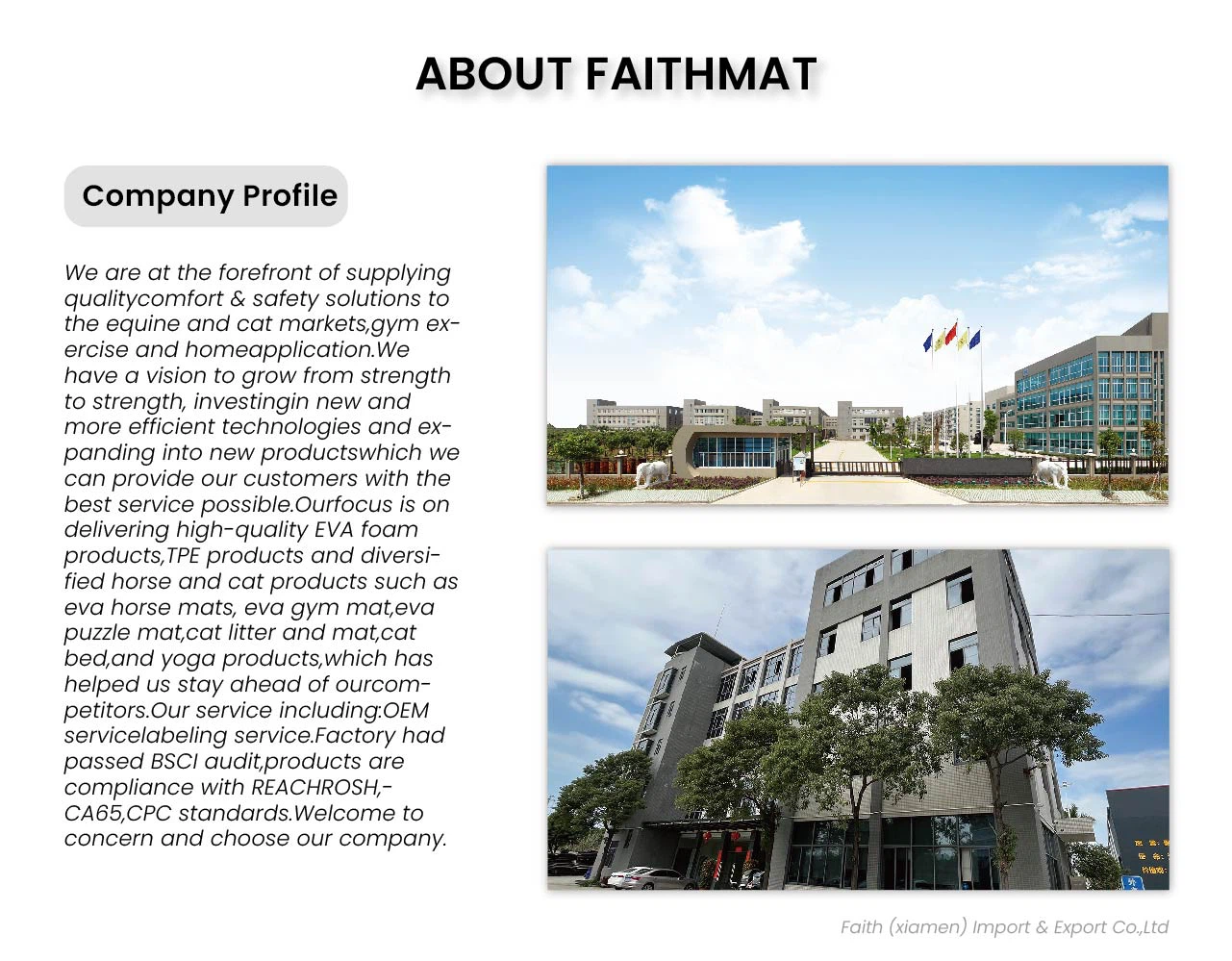 product-1281-999 product-1281-999