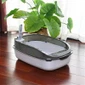 Kitten Training Litter Box With Low Step
